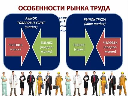 Рынок труда и развитие занятости населения