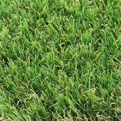 B grass