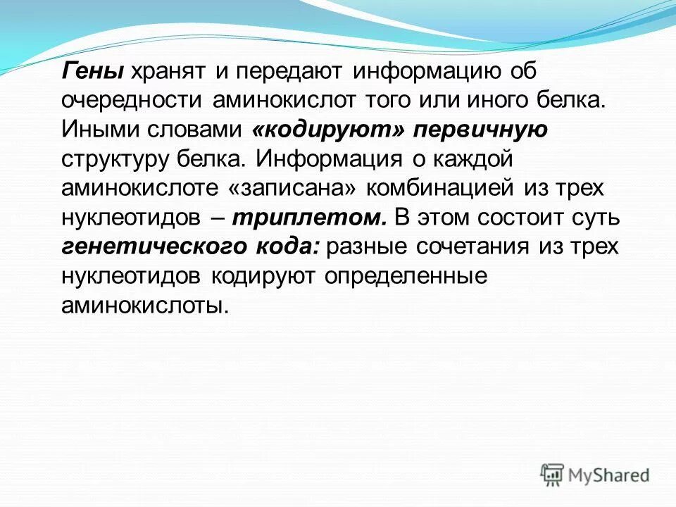 Структура днк эукариот. Основы генетики презентация. Один ген хранит информацию о. Функции днк. Схема передачи наследственной информации.