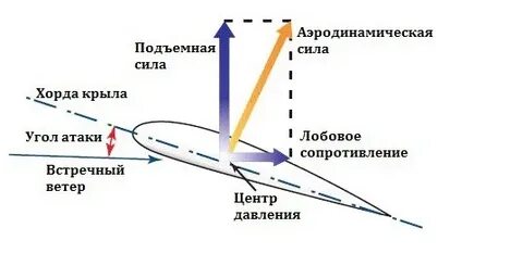 Угол крыла