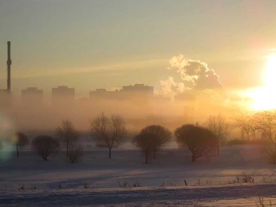 Сколько лет дымке