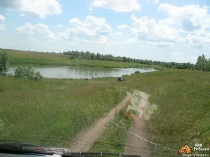 Прилепы пристенского