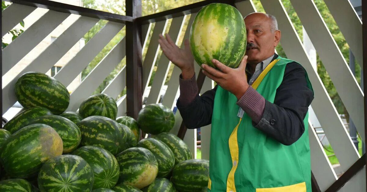 Арбуз сейчас можно. Августовские арбузы. Бахчевые развалы. Арбуз в октябре. Дыни в Москве.