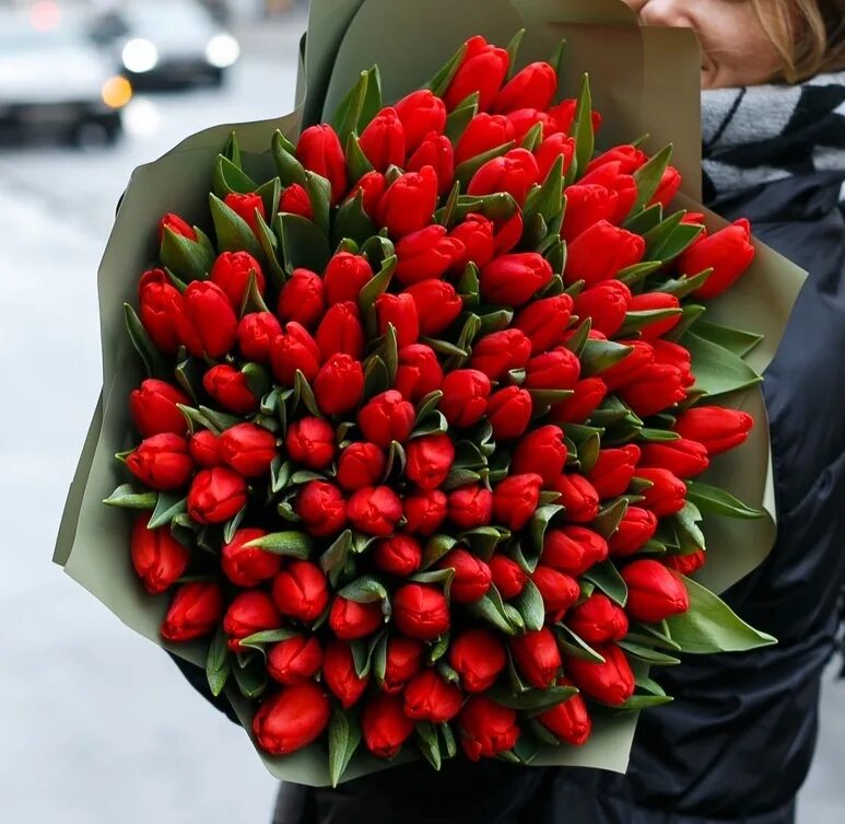 Букет 101 тюльпан. 101 красный тюльпан. 101 тюльпан. Букет из 101 тюльпана. Букет 151 тюльпан.