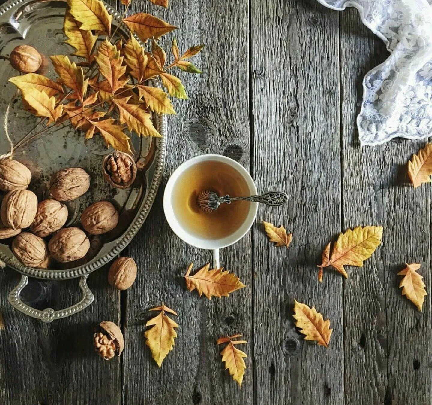 Осеннее утро картинки красивые. Осенний чай. Уютная осень. Утро осень. Доброе утро осень.