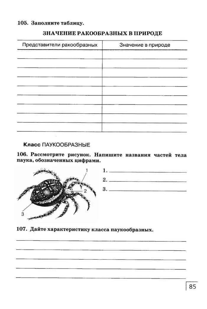 Тест паукообразные 7 класс. Класс паукообразные рабочий лист. рабочий лист тип членистоногие класс паукообразные 7 класс биология. рабочая тетрадь биология 7 класс листы. класс паукообразные 7 класс биология карточка.