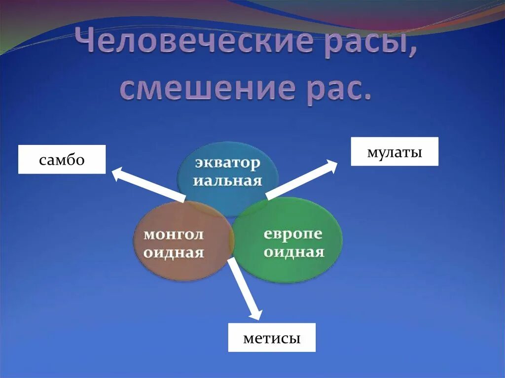 Смешение рас. Смешанные расы география. Презентация смешение рас. Расовое смешение.