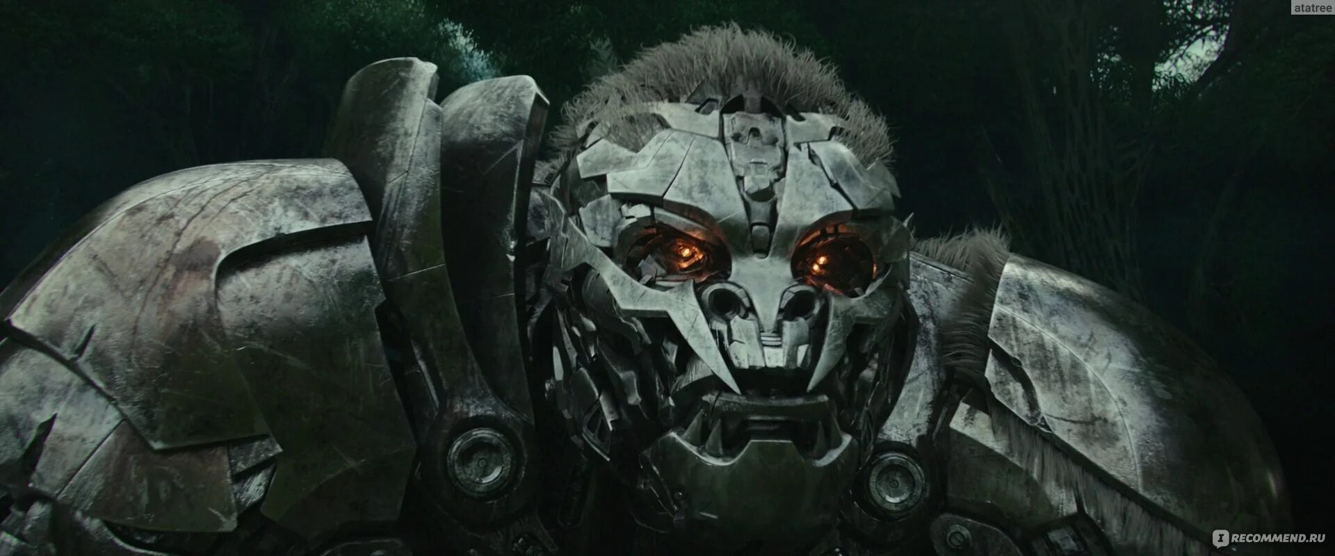 Трансформеры восхождение 2023 отзывы. Трансформеры восхождение 2023 отзывы. Трансформеры восхождение 2023 отзывы. Трансформеры восхождение 2023 отзывы. Трансформеры восхождение 2023 отзывы.