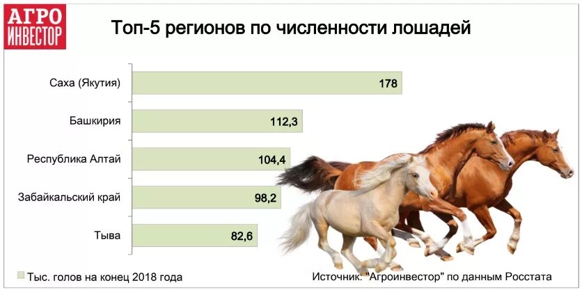 Сколько пройдет лошадь. Численность лошадей в России. Поголовье лошадей в России. Страны по количеству лошадей. Поголовье лошадей в России по регионам.