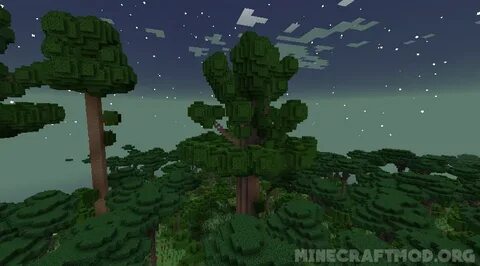 Twilight forest 2