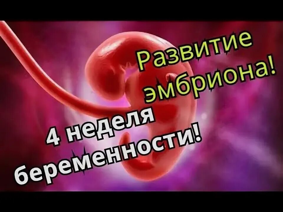 4 неделя берем. 4 неделя берем