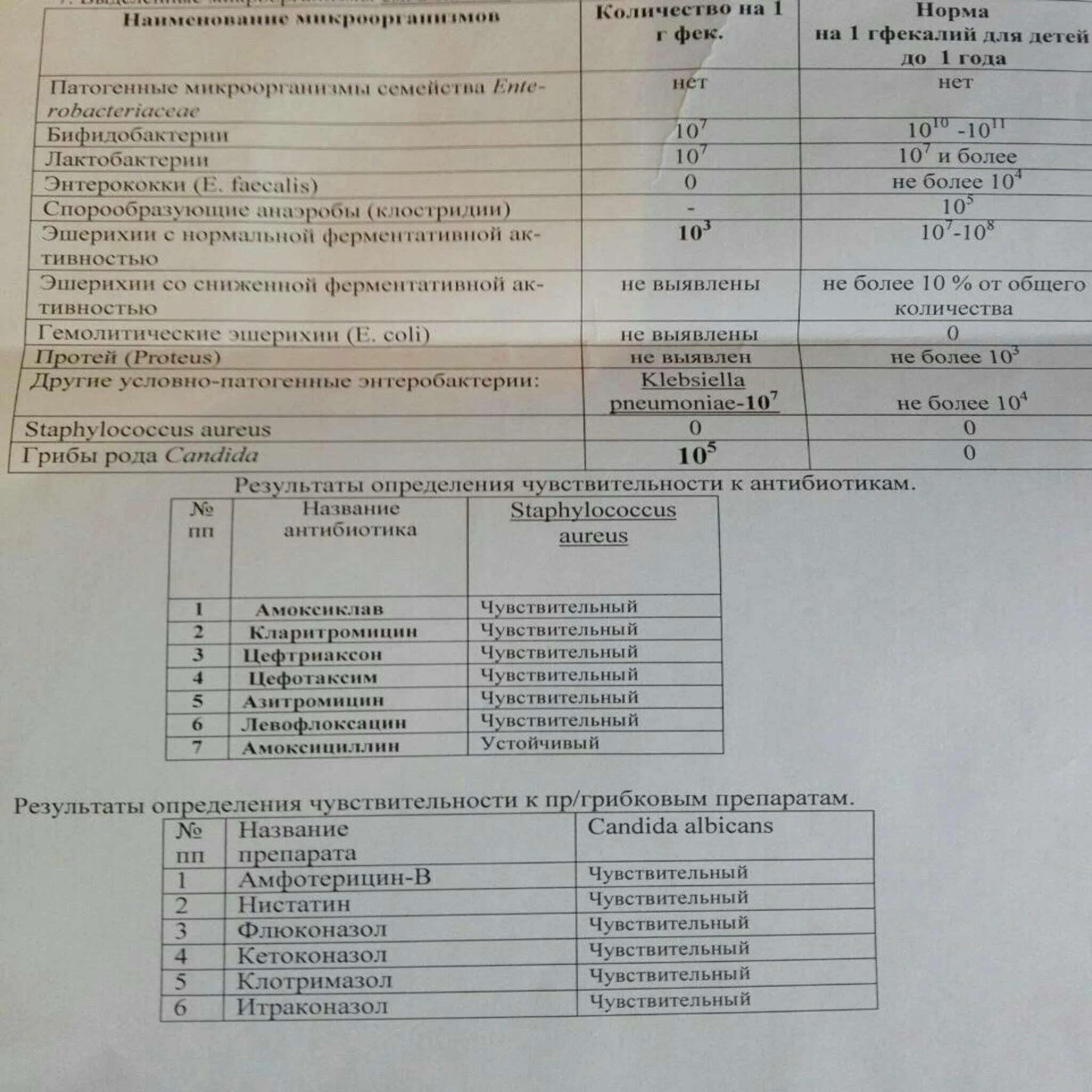 Анализ на дисбактериоз кишечника расшифровка. Анализ на дисбактериоз норма у ребенка. Дисбактериоз кишечника анализ кала. Норма анализа на дисбактериоз у ребенка до года. Расшифровка кала на дисбактериоз