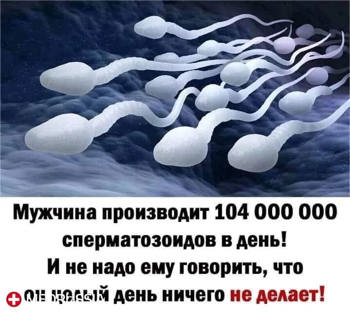 Мужчина в день производит сперматозоидов. Мужчина производит 104 000 000 сперматозоидов в день. Сперматозоид картинка. Женские и мужские сперматозоиды. Мужчина ничего не дает