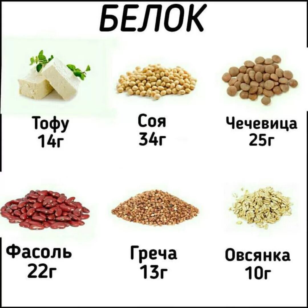 Содержание белков на 100 грамм фасоль. Содержание белка в фасоли на 100. В фасоли содержится белок. Бобовые с большим содержанием белка. Количествобнлеа в фасоди.