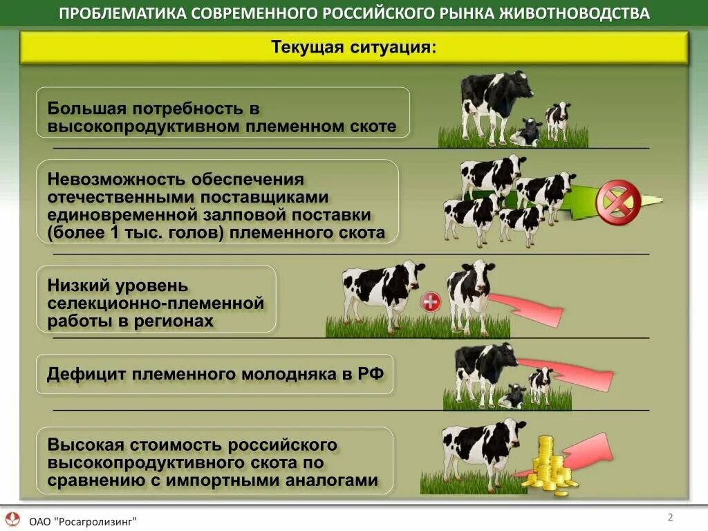 Отрасли животноводства. Схема животноводства. Перспективы развития крупного рогатого скота. Экология животноводства. Направление животноводства в россии