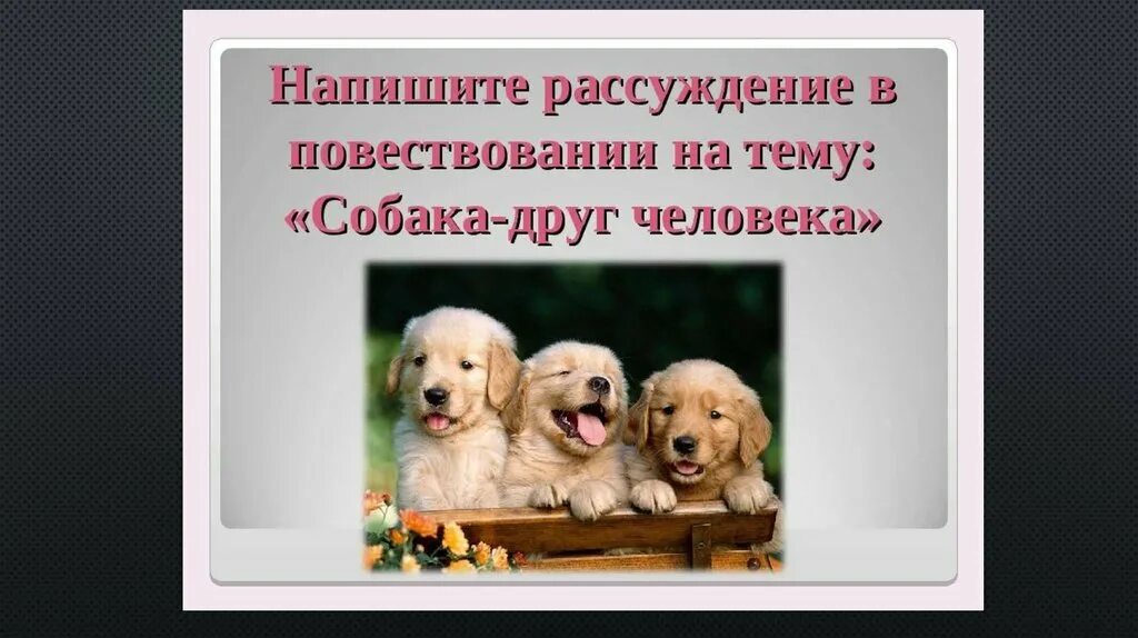 Собака рассуждение. Собака рассуждение. Собака рассуждение. Собака лучший друг человека сочинение. Собака лучший друг человека сочинение.