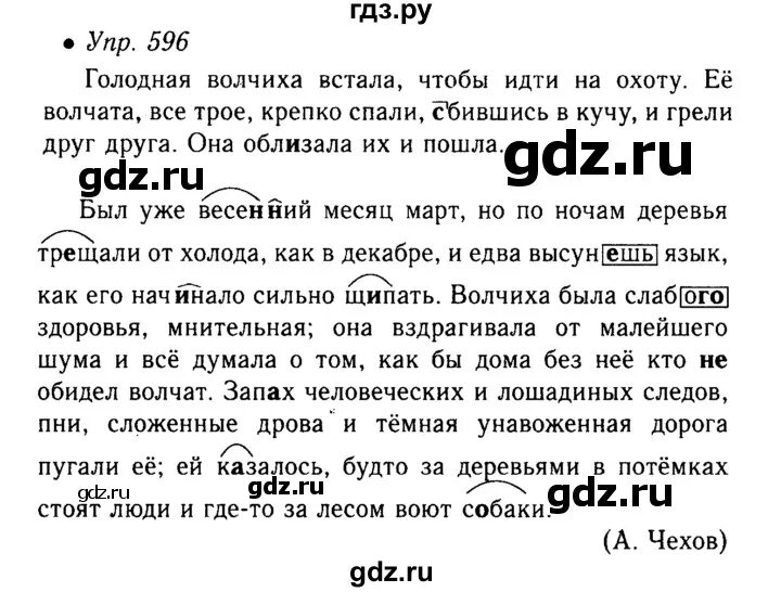 Упр 704 6 класс. Упражнение 596. Упражнения 596 по русскому языку. Русский язык 6 класс ладыженская упражнение 596. Упражнение 596 по русскому языку 6 класс.