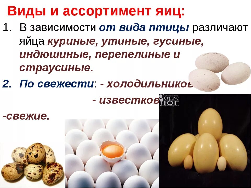 Особенности яйца птиц. Ассортимент яиц и яичных продуктов. Ассортимент куриных яиц. Яичные товары ассортимент. Яйца и яйцепродукты виды.