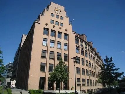 International university