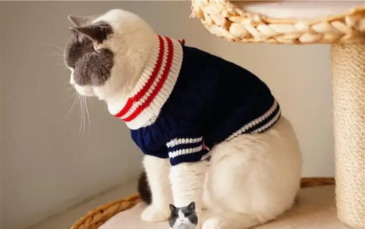 Связать одежду для кота