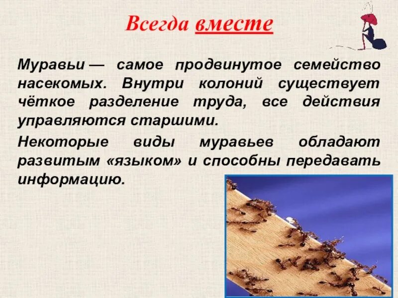 Муравьи презентация. Доклад про муравьев. Доклад о муравьях. Рассказать про муравья. Текст муравей 2 класс