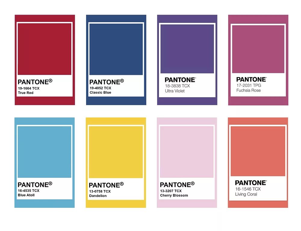 Pantone какой цвет. Pantone 2023 палитра. Пантон 350. Пантон 3105. Пантон оттенки цвета.