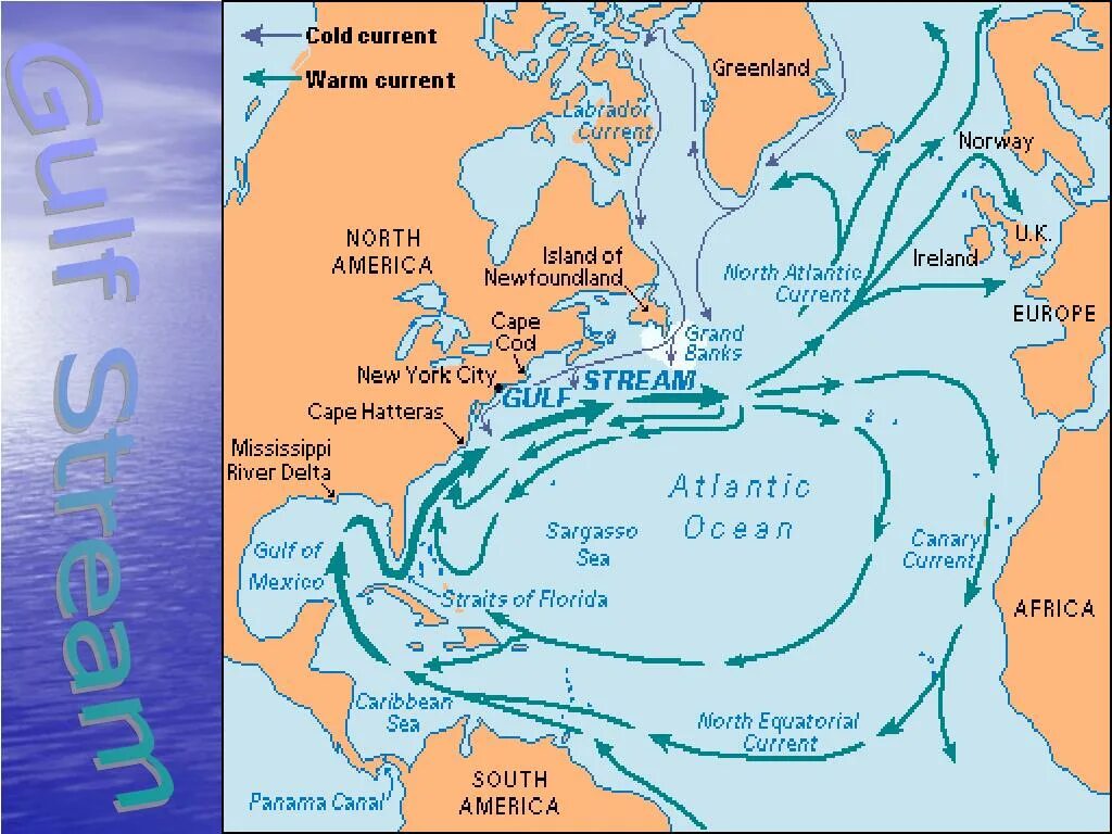 Теплые течения лабрадорское. Течение Гольфстрим на карте. Гольфстрим на карте Атлантического океана. Норвегия Гольфстрим теплое течение. Гольфстрим и Северо-атлантическое течение.