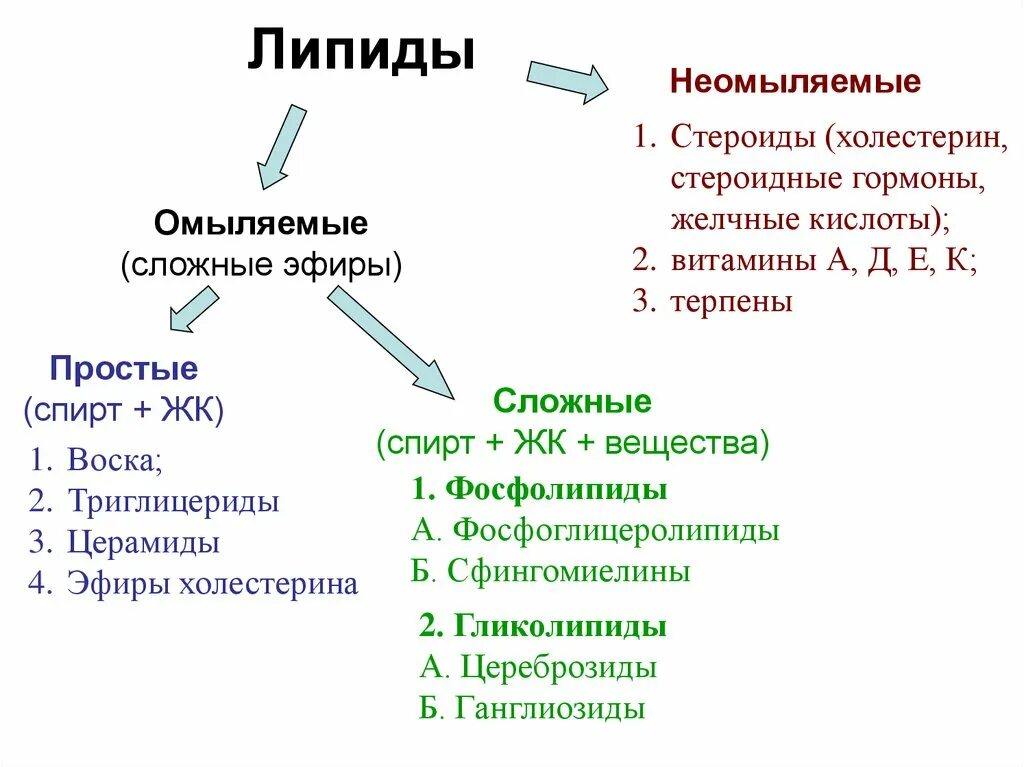 Органические вещества относящиеся к липидам