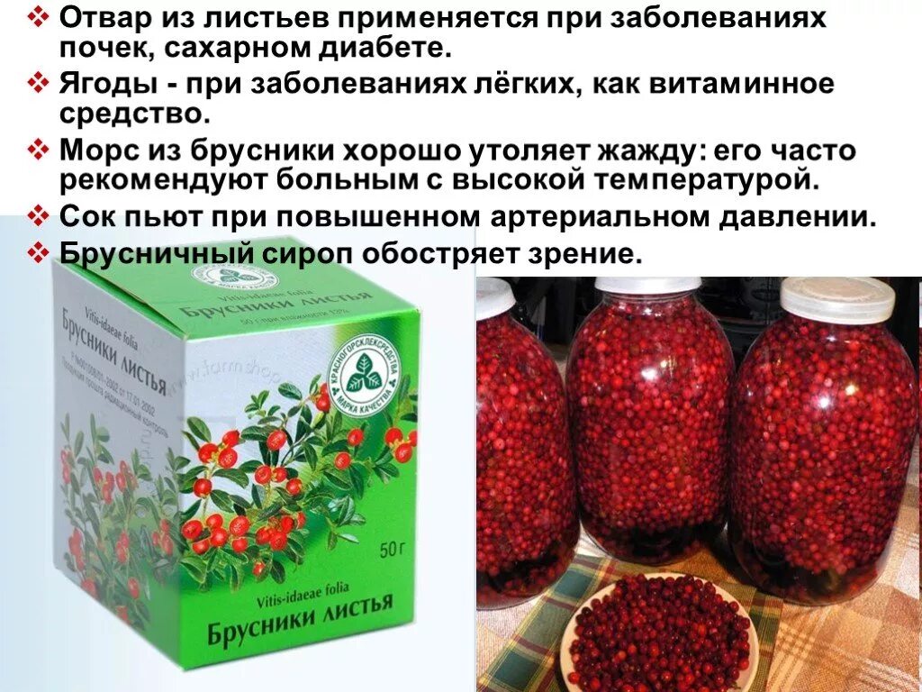 Что можно пить при заболевании. Лечебные отвары из ягод. Брусника при сахарном диабете. Лекарственные средства на бруснике. Ягоды полезные для почек.