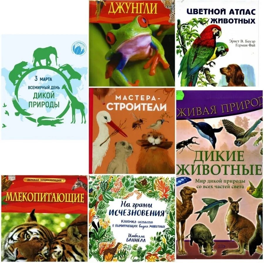 Всемирный день дикой природы для детей. Всемирный день дикой природы. Всемирный день дикой природы презентация. Всемирный день дикой природы мероприятия.