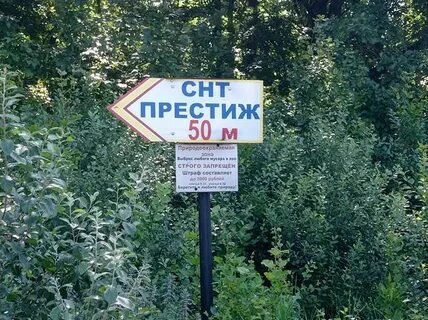 Раздоры белорусская