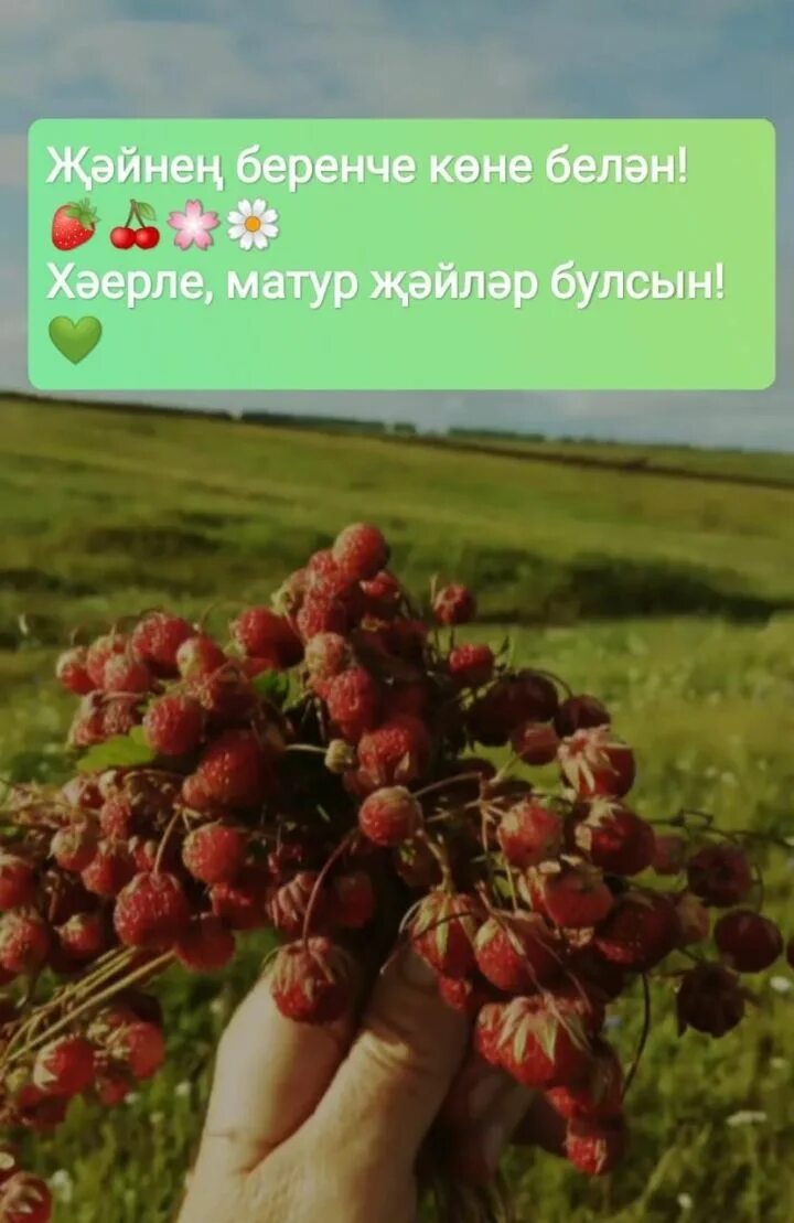 Туган кон котлау ир атка. Поздравления с днём рождения на татарском языке. Җәйнең беренче көне белән. Открытки хәерле иртә на татарском языке. 1 март белэн картинки.