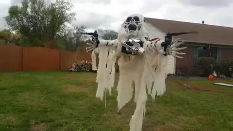 Scary fly