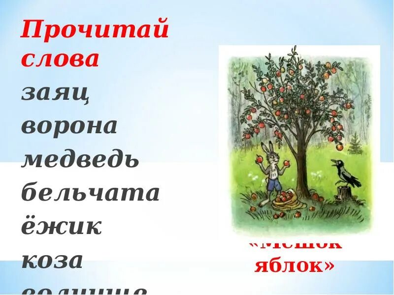 Яблонька формы слова. Мешок яблок медведь. мешок яблок ворона слова. мешок яблок текст. корень яблоко и яблонька.