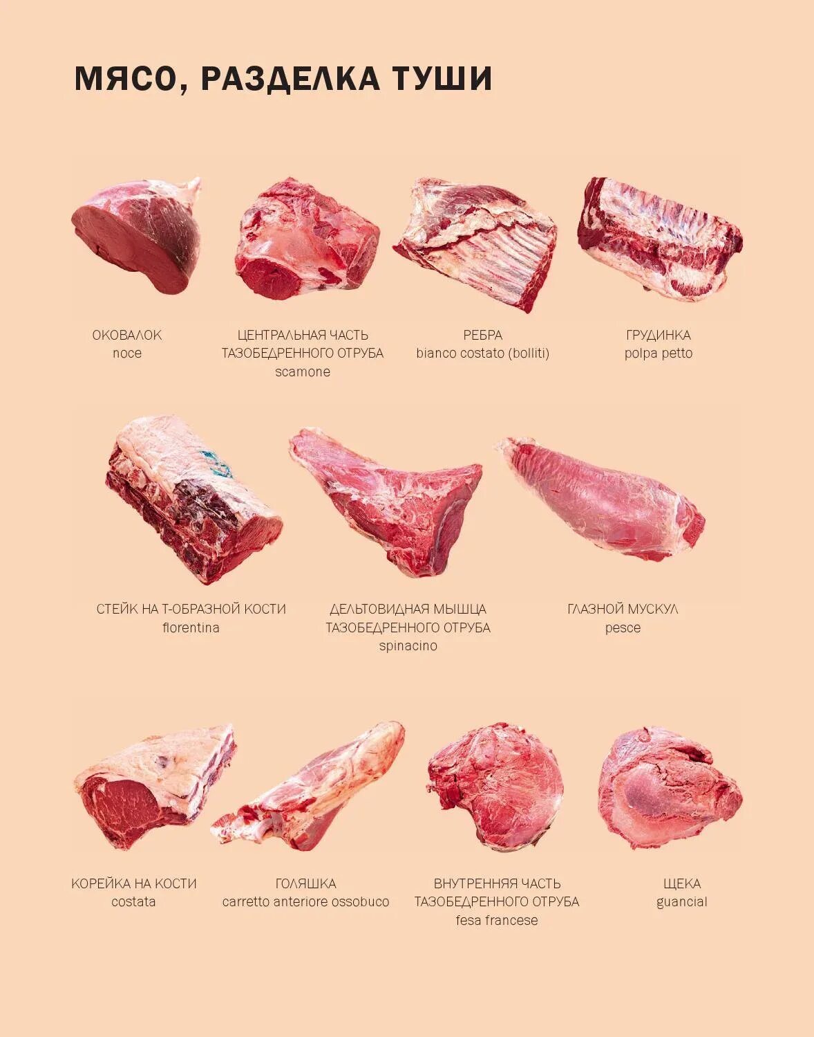 схема мяса говядины рибай. мясо для стейка название. часть мяса говядины рибай. название мяса говядины. название мяса говядины.