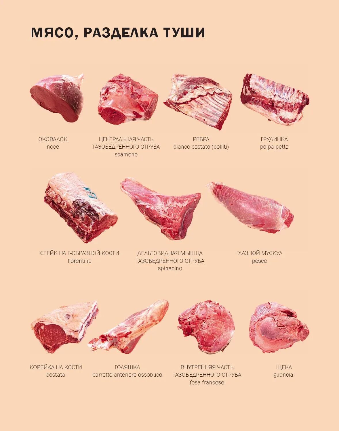Название частей мяса свинины. Корейка схема разделки свиной туши. Классификация схема разруба говяжьей туши. Как называются части свинины. Лучшая часть мяса говядины