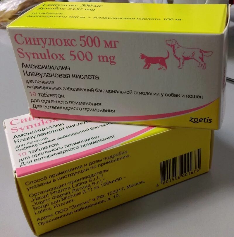 Синулокс дозировка. Собачий антибиотик синулокс. Синулокс 50 мг таблетки. Синулокс 250. Синулокс 50 мг таблица.