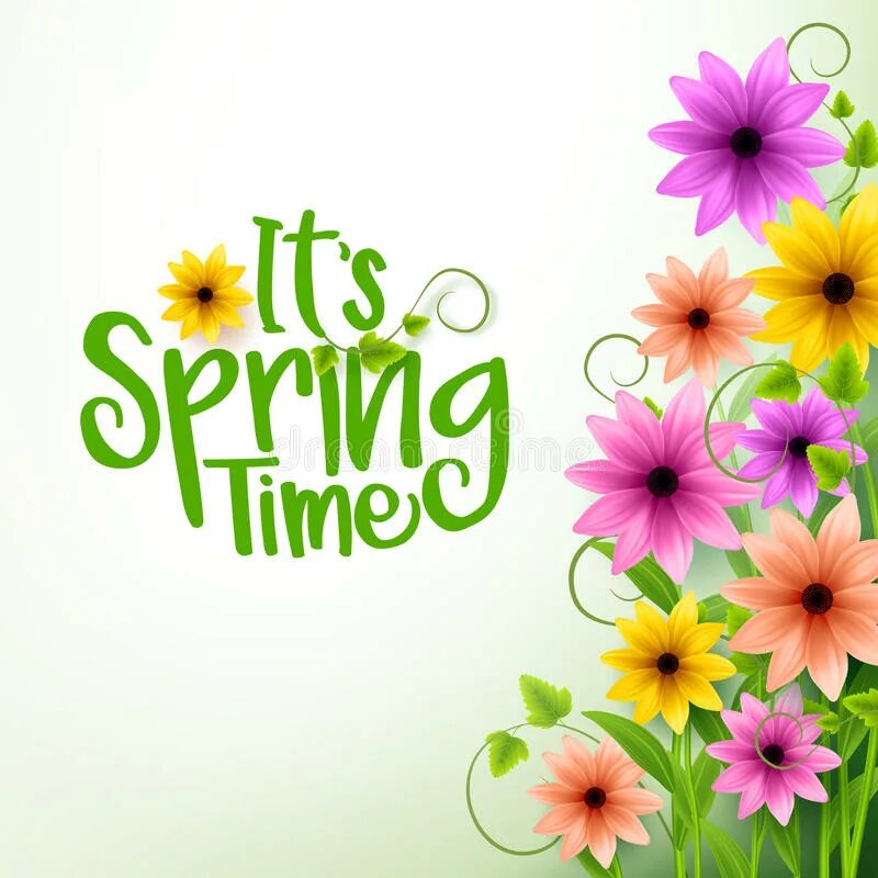 Spring надпись. Hello Spring векторные картинки. Springtime Подик.