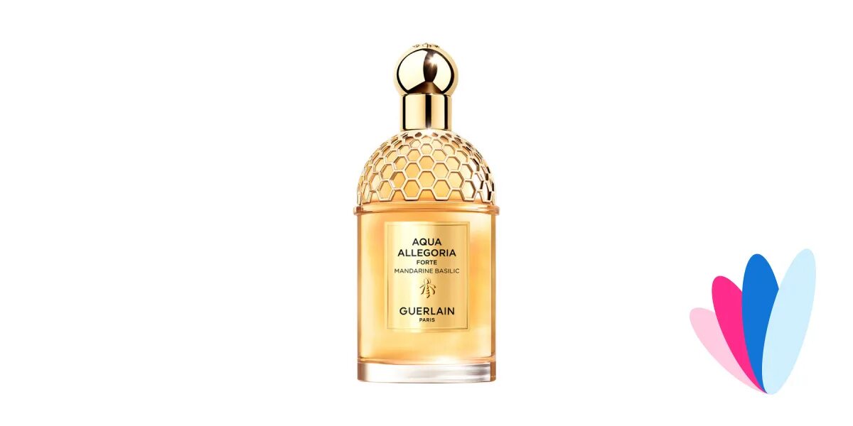 Guerlain Aqua Allegoria Granada Salvia,. Духи Guerlain Aqua Allegoria Coconut Fizz. Духи Guerlain Granada Salvia. Guerlain Aqua Allegoria Orange Soleia. Guerlain aqua allegoria forte mandarine