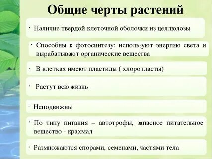 Значение цветов биология
