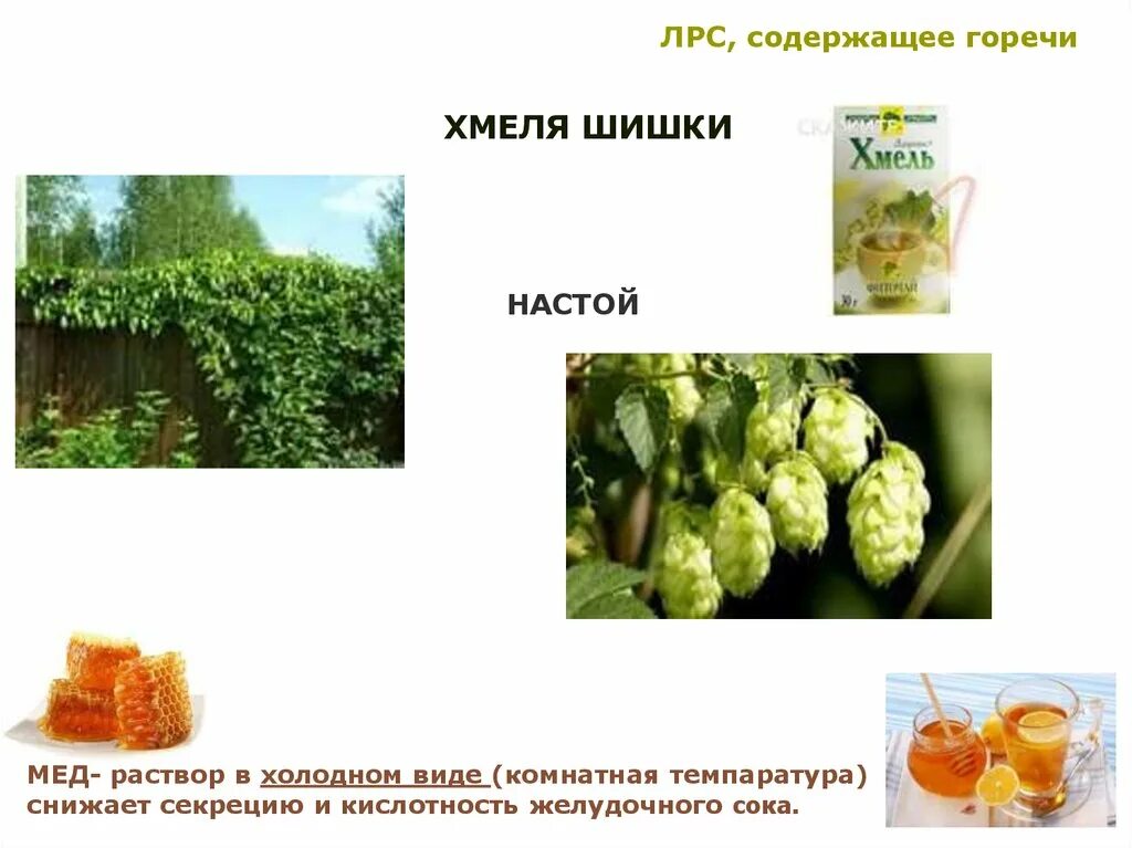 Темы по растительному сырью