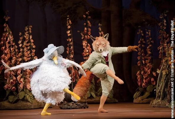 Tales of beatrix potter балет. Беатрис поттер балет. Поттер балет с животными. Балет беатрикс поттер. Tales of beatrix potter балет.