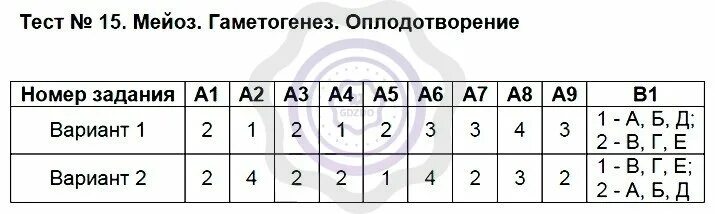 Мейоз контрольная работа. Тест по биологии мейоз 9 класс. закономерности изменчивости мутационная изменчивость тест 20. биология 9 класс тесты. тест по биологии 9 класс изменчивость.