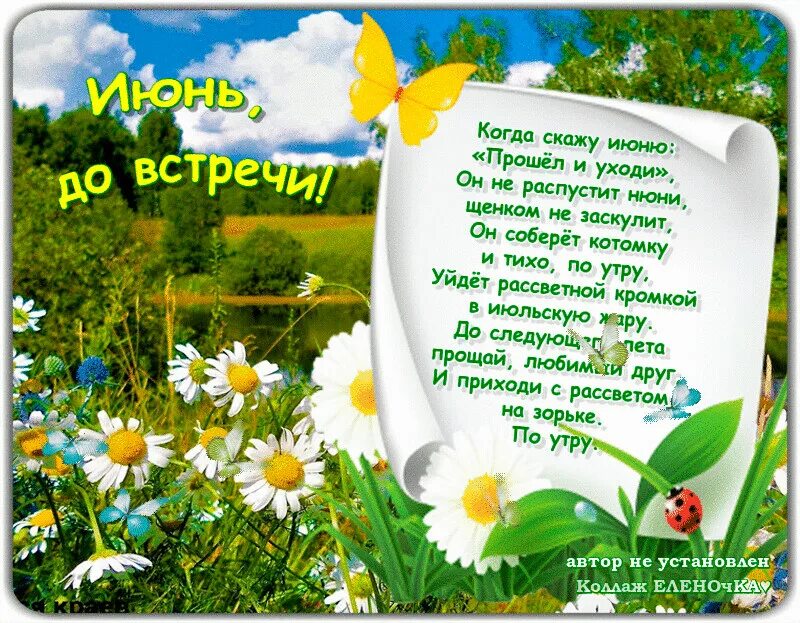 Дело было где то в июне летняя