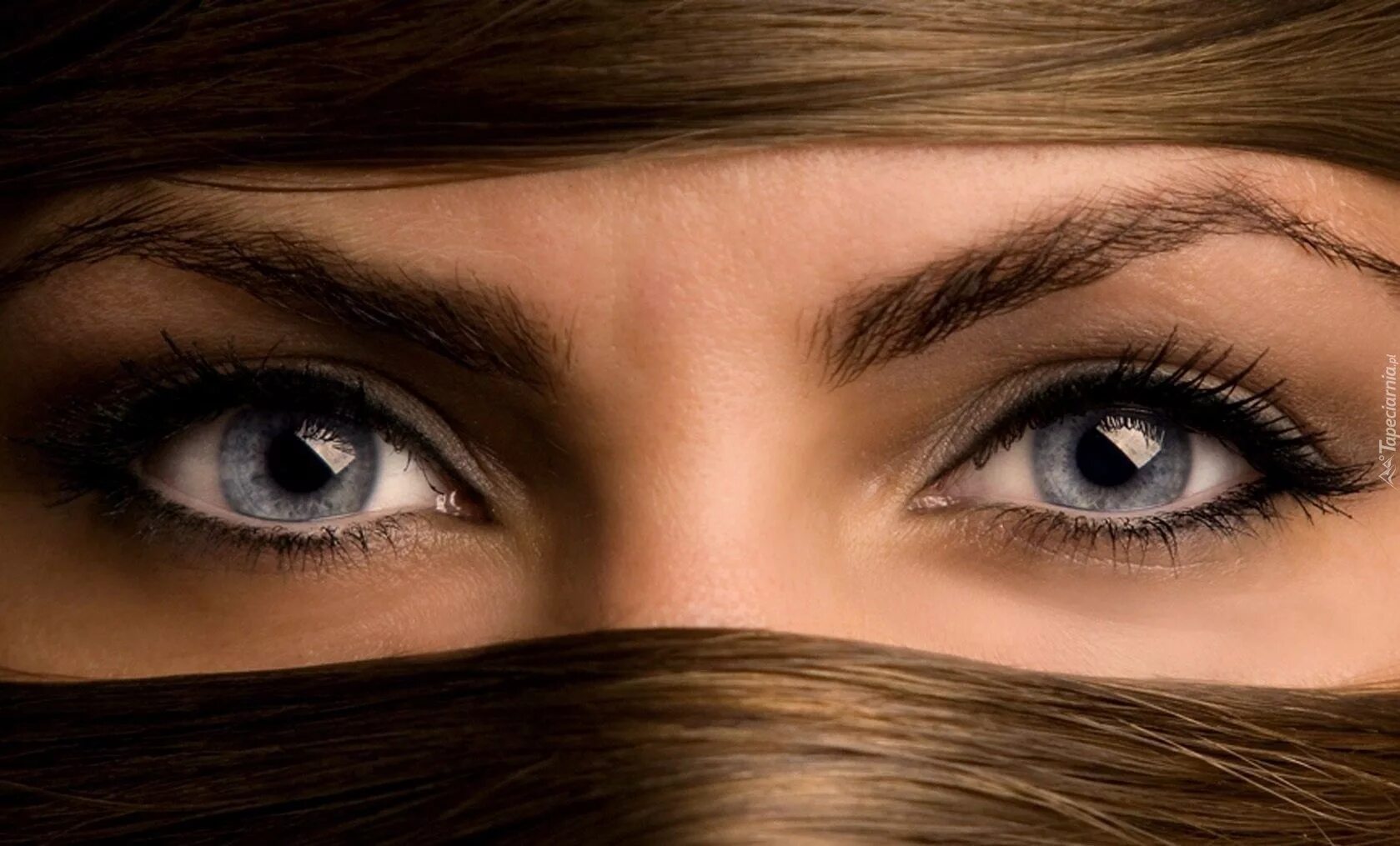 Женские глаза. Красивые глаза. Красивые женские глаза. Красивые глаза девушки.