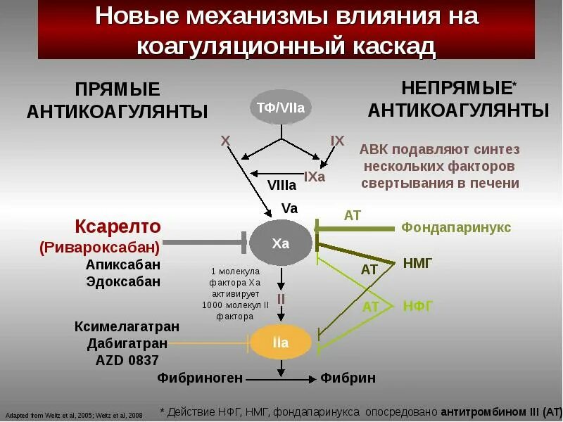 Механизм действия непрямых антикоагулянтов. Антикоагулянты непрямого действия механизм действия. Антикоагулянты прямого действия механизм действия. Точки приложения антикоагулянтов. Ингибиторы свертывания крови