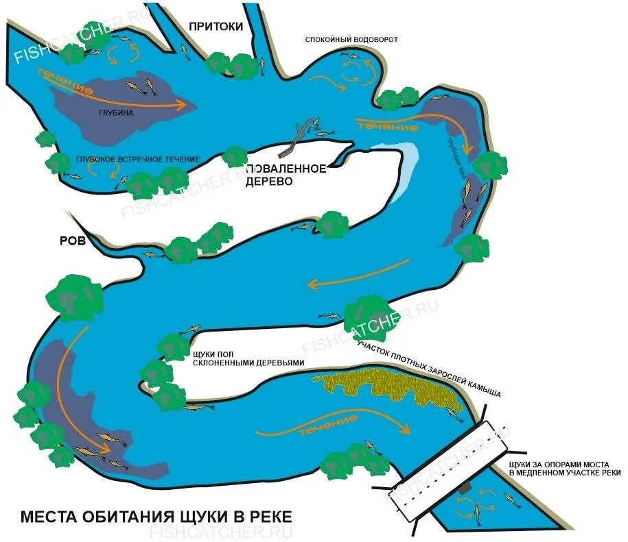 Места лова рыбы. Места обитания щуки на реке. Места стоянки щуки на реке летом. Места ловли щуки на реке. Щучьи места на реке.