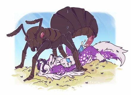 Ants rule 34 - cenelle.fr 