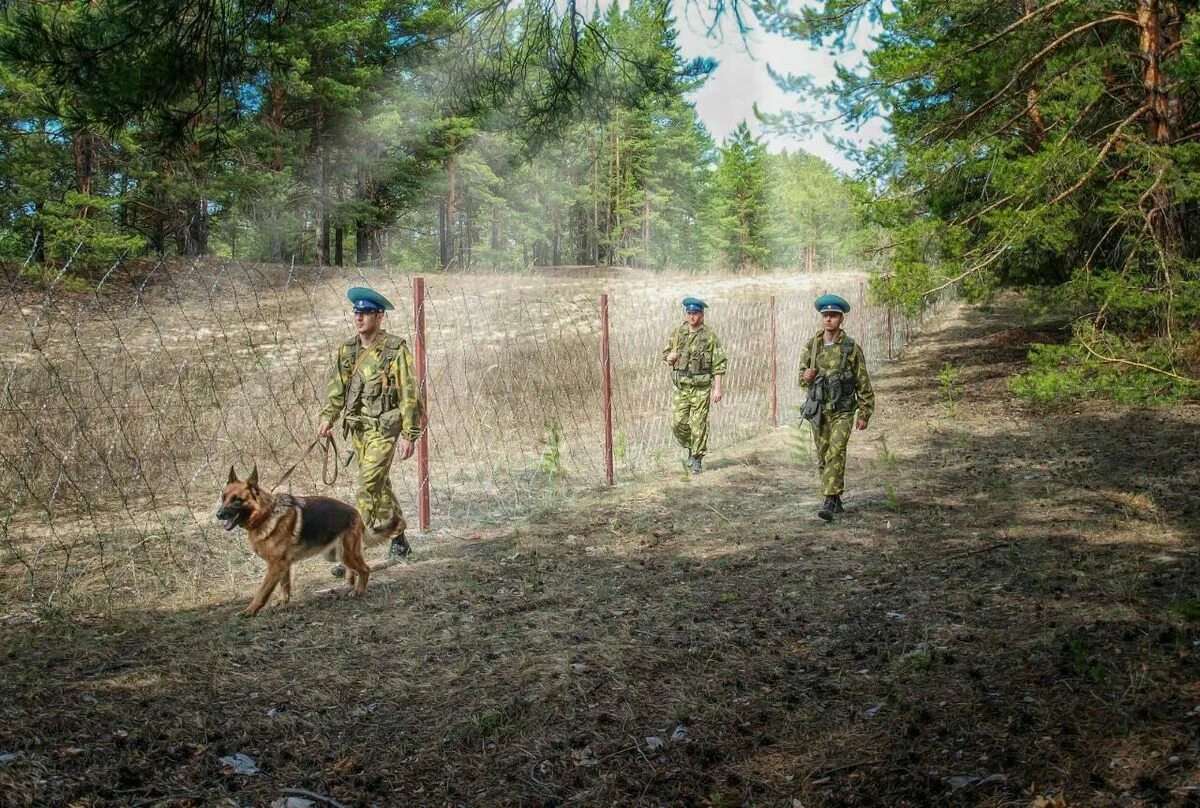 Несение службы в пограничном наряде. Границы рф погран войска. пограничная служба фсб россии застава. пограничная служба фсб россии граница. пограничные войска федеральной службы безопасности рф.