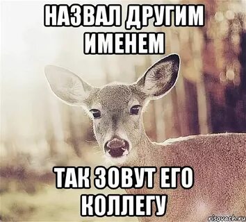 Часто называют другим именем